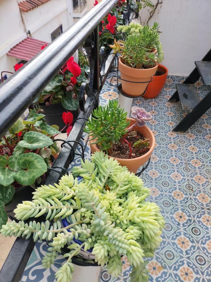 Private Terrace-Romantic-Sea, Castle Views-Central لقنت المظهر الخارجي الصورة